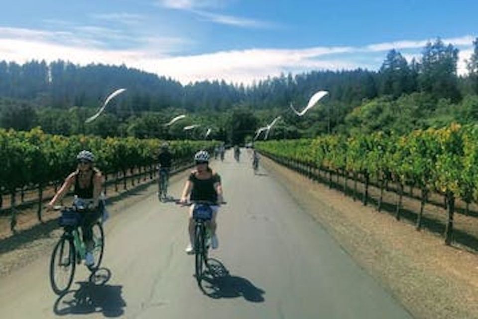 Sonoma County: Wine Tasting and Biking in Healdsburg - Enjoying a Picnic Lunch