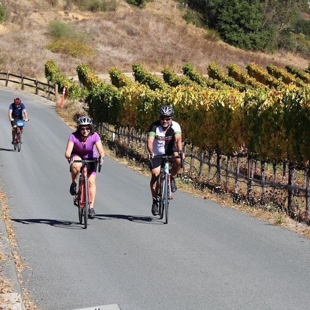 Sonoma County: Wine Tasting and Biking in Healdsburg - Learning About Grape Growing