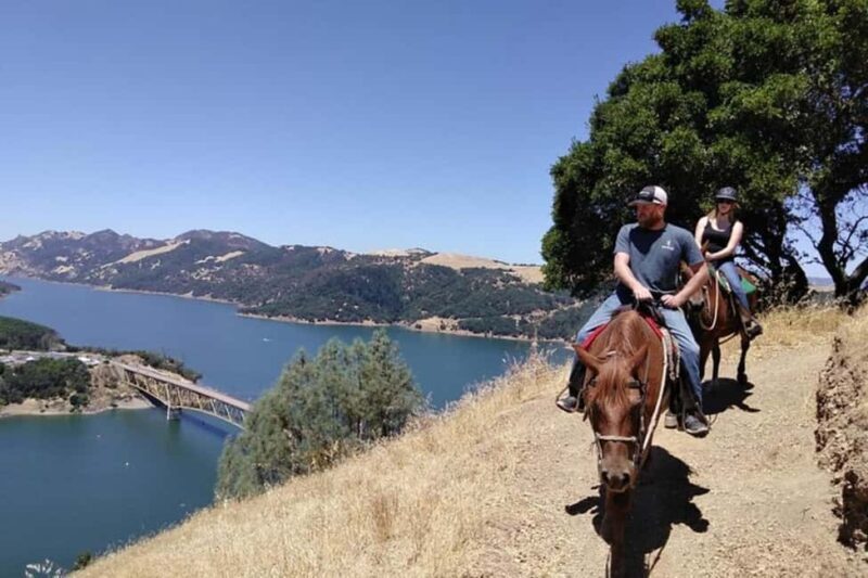 Sonoma: Horseback Riding Tour to Skaggs Vista Mountain - An Overview of the Sonoma Horseback Riding Experience