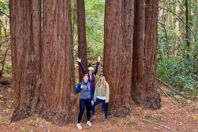 Sonoma Private Hike and Wine Tour - Who Will Love This Tour?