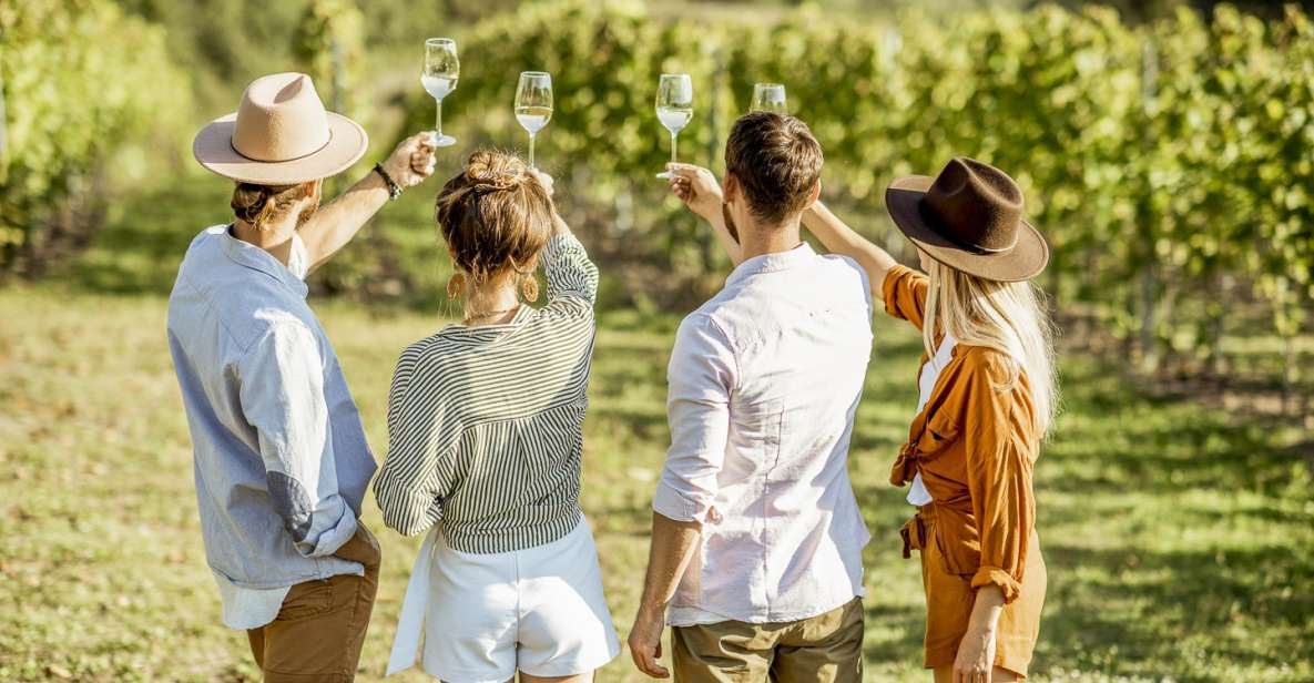Sonoma Valley: Guided Winery Tour With Picnic Lunch - Key Points