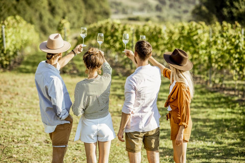Sonoma Valley: Guided Winery Tour With Picnic Lunch - Pickup and Drop-off