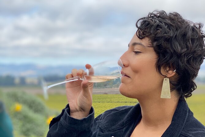 Sonoma Valley Sidecar Wine Tours - Accessibility Information