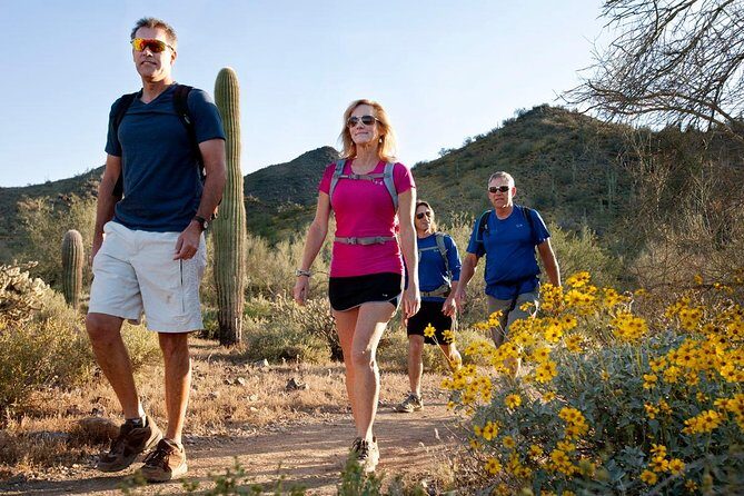 Sonoran Desert Guided Hike - Key Points