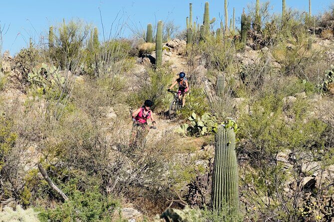 Sonoran Desert Guided Mountain Bike Adventure - Final Thoughts