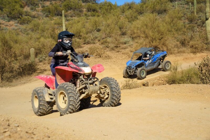 Sonoran Desert: Guided UTV or ATV Desert Tour - Key Points
