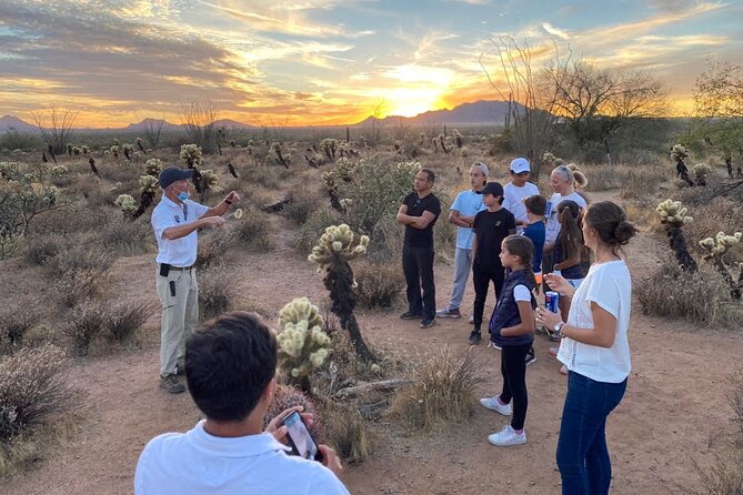 Sonoran Desert Jeep Tour at Sunset - Customer Reviews