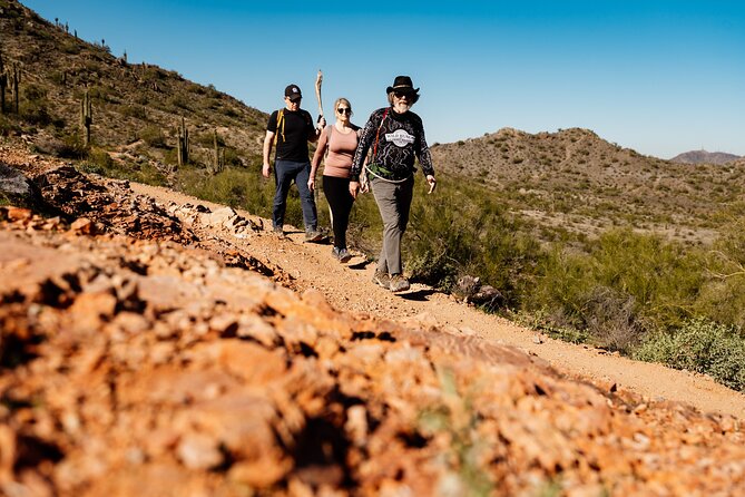 Sonoran Desert Solo Half Day Hike at Customizable Pace - Exploring the Sonoran Desert