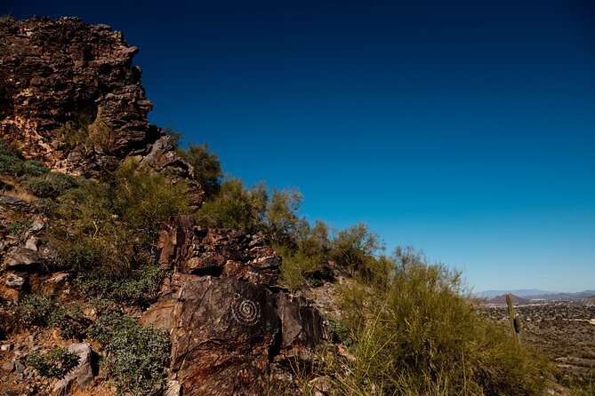 Sonoran Desert Solo Half Day Hike at Customizable Pace - Feedback and Ratings