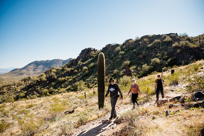Sonoran Desert Solo Half Day Hike at Customizable Pace - Booking and Logistics
