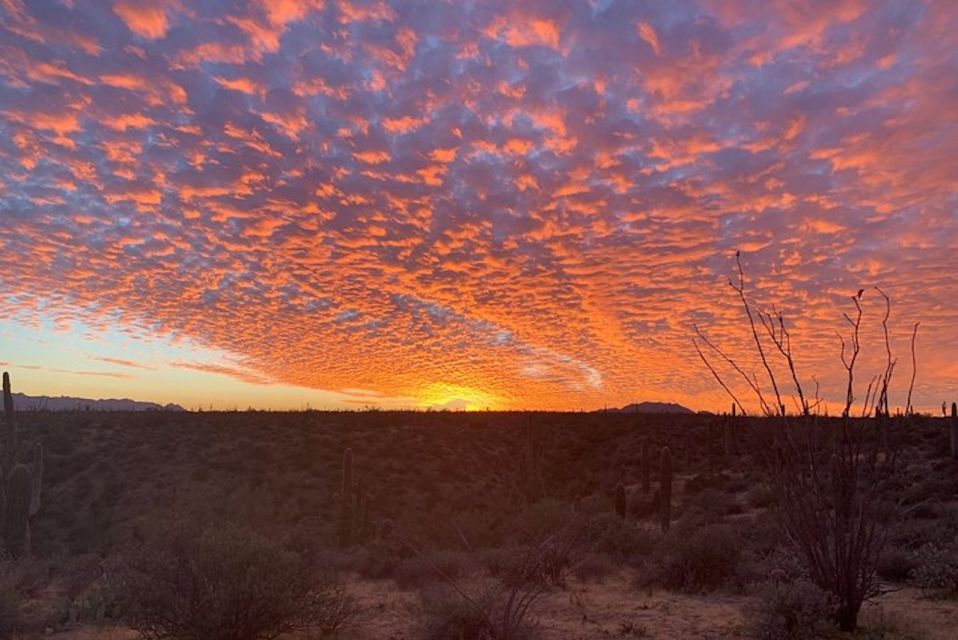 Sonoran Desert: Sunset Jeep Tour With Tonto National Forest - Frequently Asked Questions