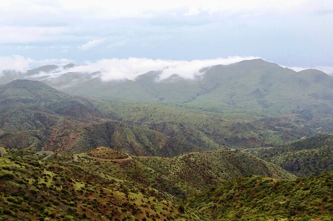 Sonoran Desert To MountainTop Jeep Tour Review - Booking and Cancellation