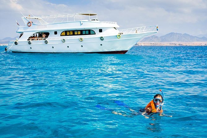 Sorkeling Trip to the White Island & Ras Mohammed - Important Considerations