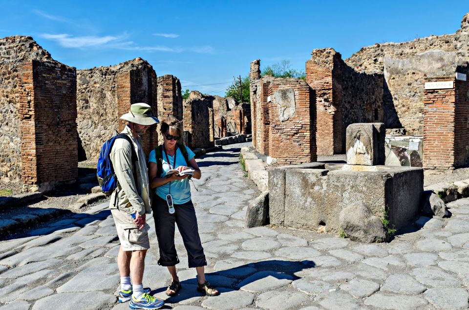 Sorrento and Pompeii Tour: Limoncello & Ancient Roman Dishes - Inclusions and Exclusions