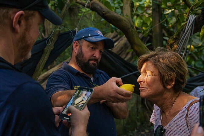 Sorrento Ape Tour, Lemon Garden, Mozzarella Show & Pizza Class - Key Points