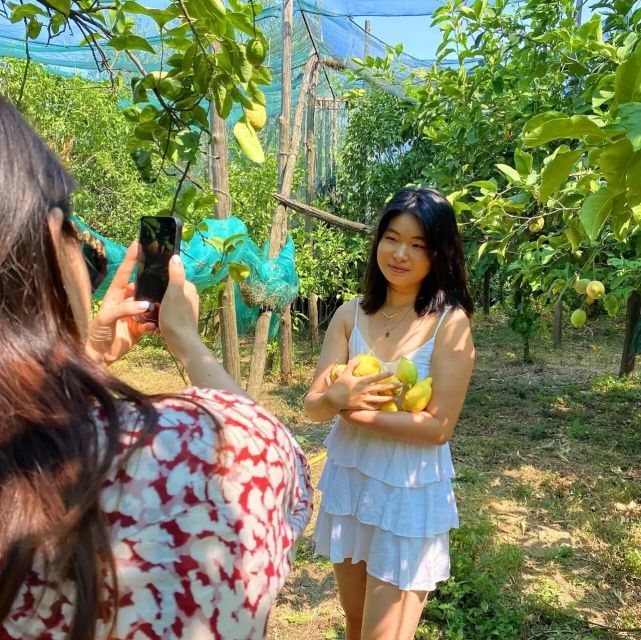Sorrento: Authentic Lemon Experience in a Farm With Tastings - Handpicking Fresh Sorrento Lemons