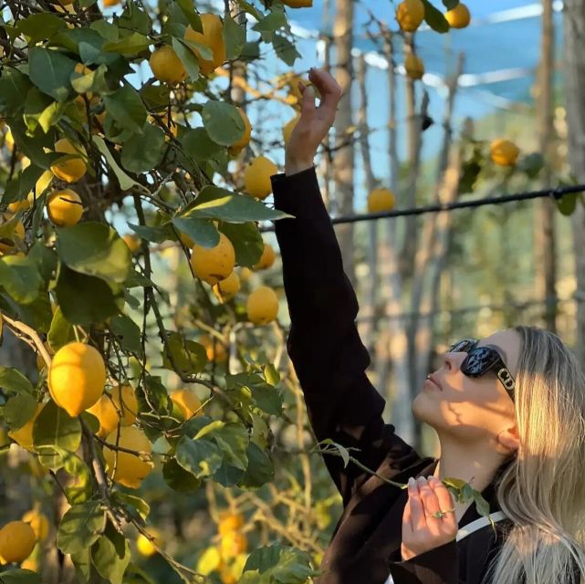 Sorrento: Authentic Lemon Experience in a Farm With Tastings - Flexible Planning With Reserve Now & Pay Later