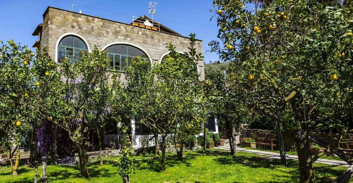 Sorrento: Backroads E-Bike Tour With Limoncello Tasting - Unique Experience