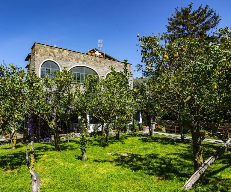 Sorrento: Backroads E-Bike Tour With Limoncello Tasting - Booking Information