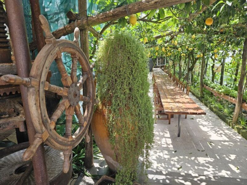 Sorrento Coast: E-Bike & Cooking Experience - Exploring the Sorrento Coast: E-Bike & Cooking Experience