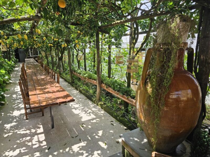 Sorrento Coast: E-Bike & Cooking Experience - Key Points