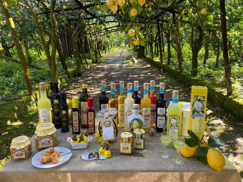 Sorrento: Coast E-Bike Tour with Limoncello Tasting - Key Points