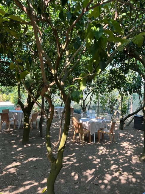 Sorrento: Cooking Class under the Lemon Trees - Who Will Love This Experience?