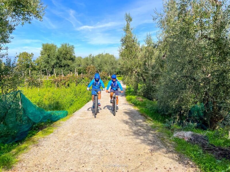 Sorrento: E-bike Oil & Lemon Tour with Tasting - The Practical Side: What You Need to Know