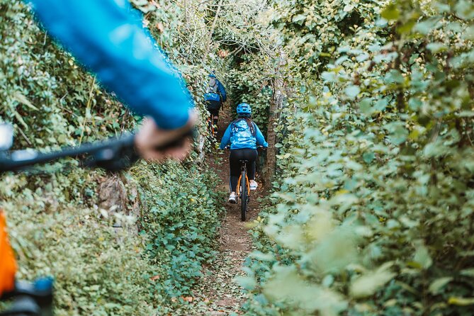 Sorrento E-Bike Tour With Limoncello Tasting - Ratings and Traveler Feedback