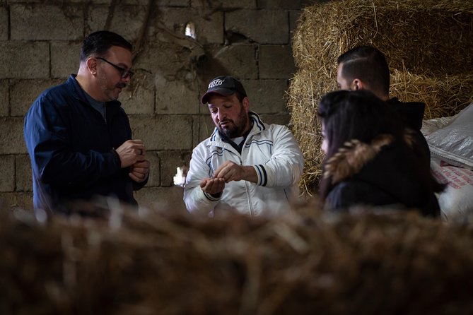 Sorrento Farm Experience With Pizza, Cheese Making and Limoncello - Additional Info