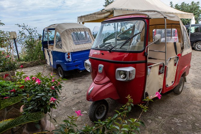Sorrento Farm Experience With Pizza, Cheese Making and Limoncello - Frequently Asked Questions