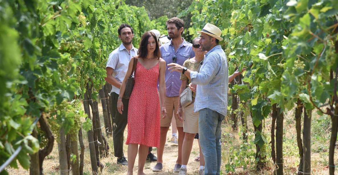 Sorrento: Farm Tour With Cheese Tasting & Pizza Making Class - Key Points