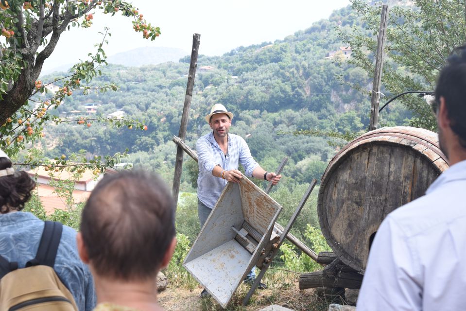 Sorrento: Farm Tour With Cheese Tasting & Pizza Making Class - Mozzarella and Caciotta Cheese Making