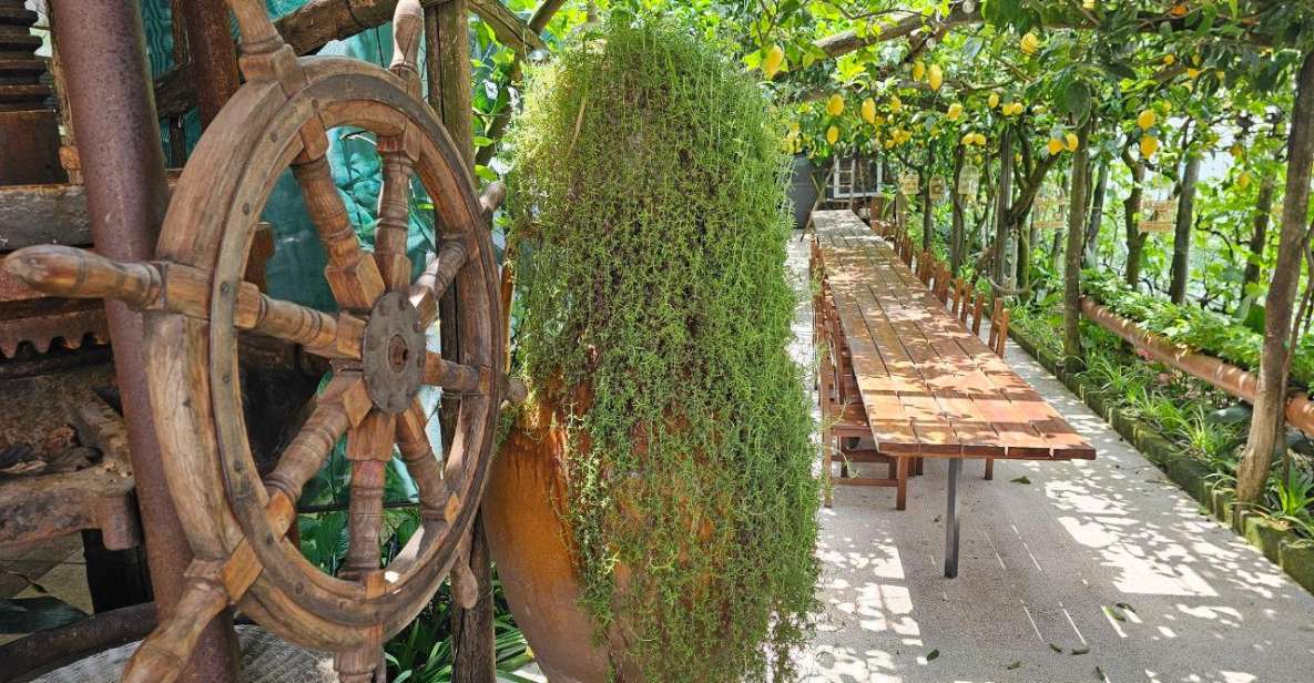 Sorrento: Food Tour by E-Bike and Visit at Vinegar Cellar - Included in the Tour