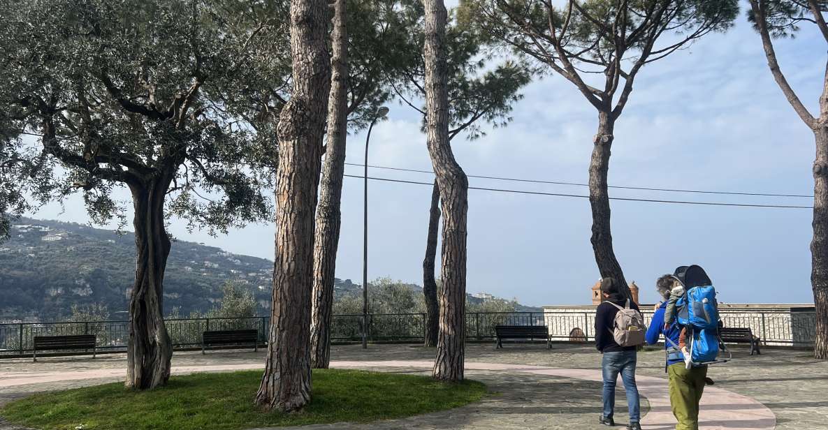 Sorrento: From the Hills to the Sea Hiking Tour - Discover Sorrentos Landscape
