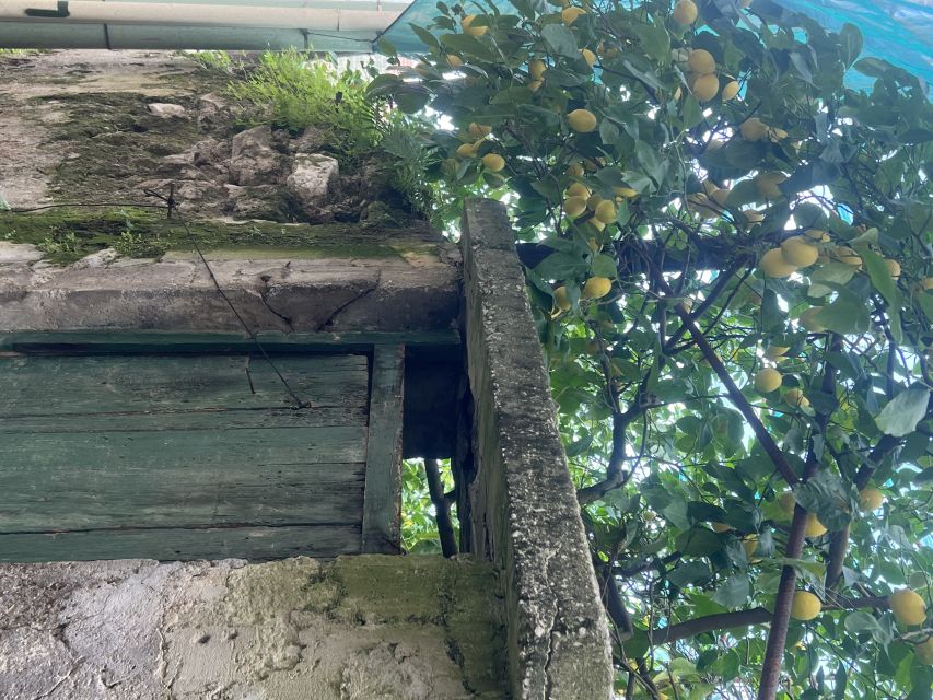Sorrento: From the Hills to the Sea Hiking Tour - Ancient History and Culture