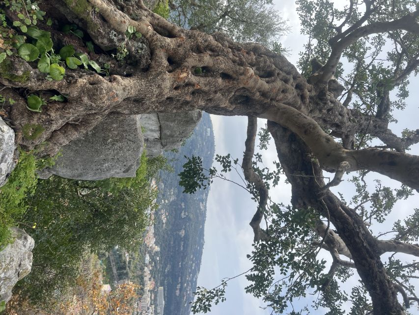 Sorrento: From the Hills to the Sea Hiking Tour - Roman Ruins Discovery