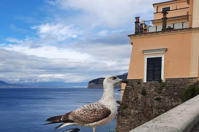 Sorrento grand tour off the beaten track with breathtaking landscapes - Artistic and Natural Highlights