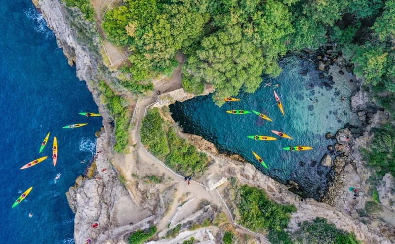 Sorrento: Guided Kayak Tour with Paddleboarding - Key Points