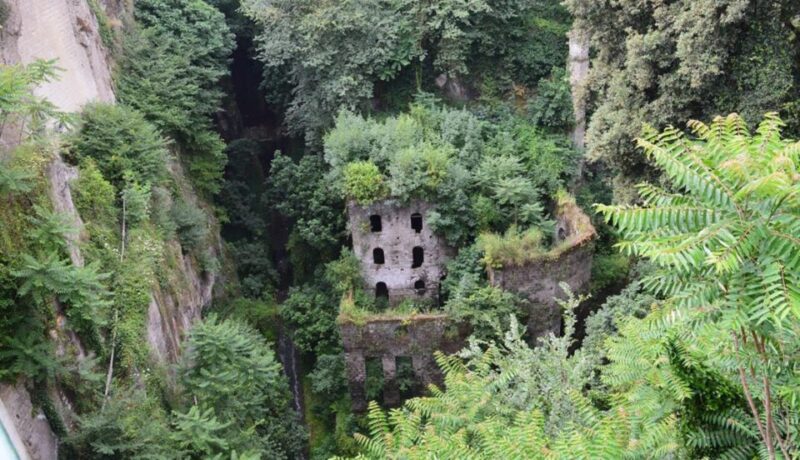 Sorrento: Guided Walking Tour & Limoncello Tasting - Customer Feedback