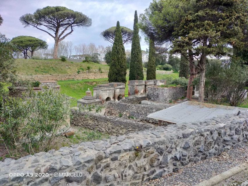 Sorrento: Half-Day Pompeii Tour With Official Guide - Itinerary
