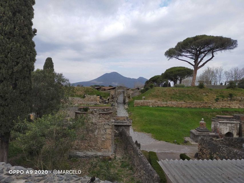 Sorrento: Half-Day Pompeii Tour With Official Guide - Directions