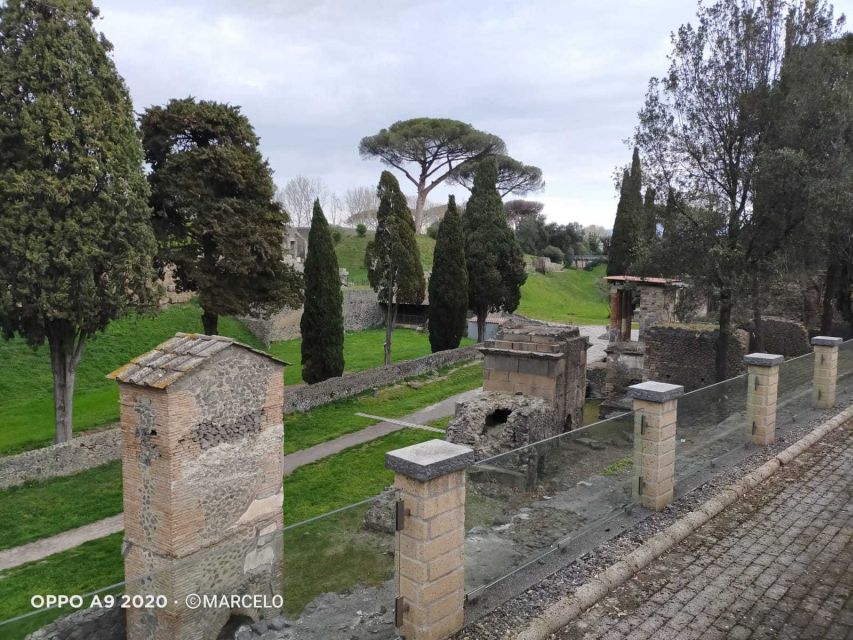 Sorrento: Half-Day Pompeii Tour With Official Guide - Recap