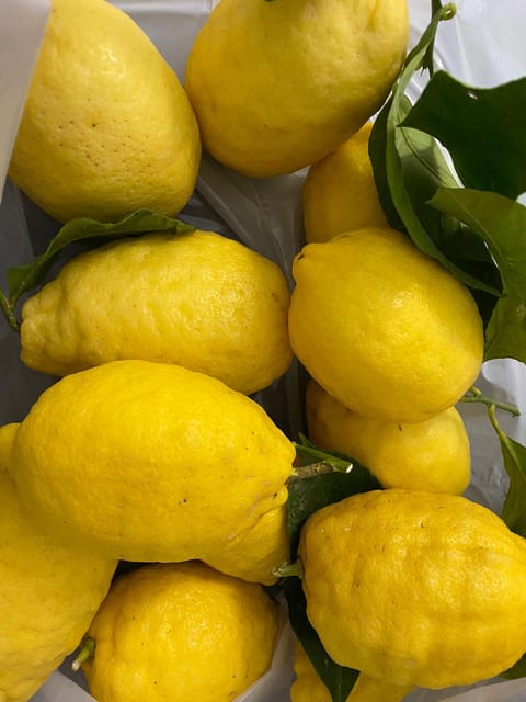 Sorrento: Hands-On Limoncello Making Experience - Bottling the Artisanal Limoncello