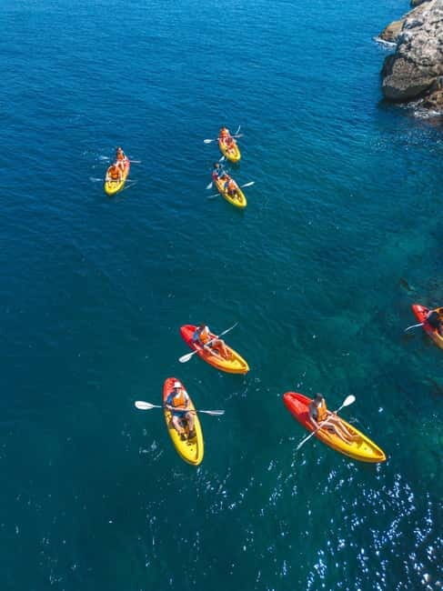 Sorrento: kayak small group tour to Bagni Regina Giovanna - The value and pricing