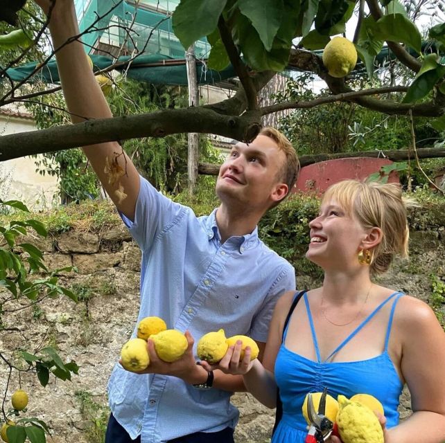 Sorrento: Lemon Experience With Harvesting and Tasting Tour - What to Bring