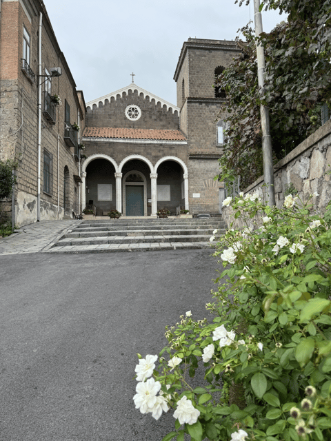 Sorrento: Lemon Garden Guided Tour With Tastings - Tasting Delights