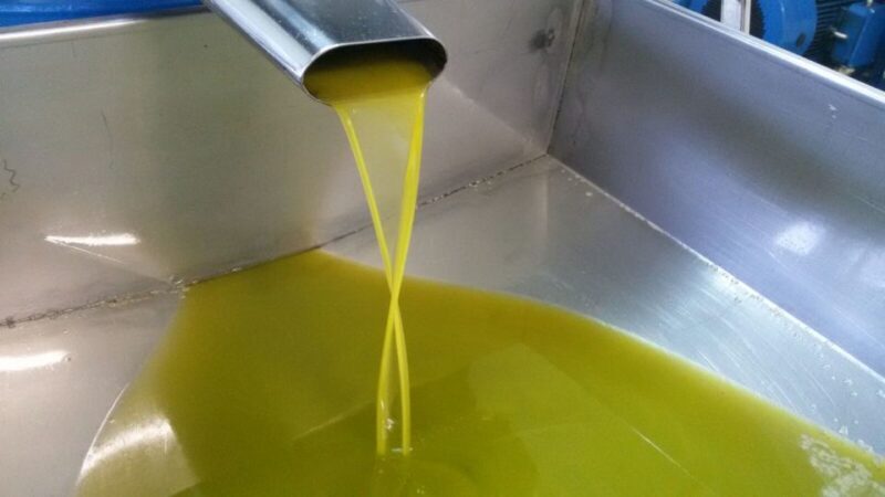 Sorrento: Lemon, Olive Oil and Wine Tasting Tour with Lunch - A Closer Look at the Experience