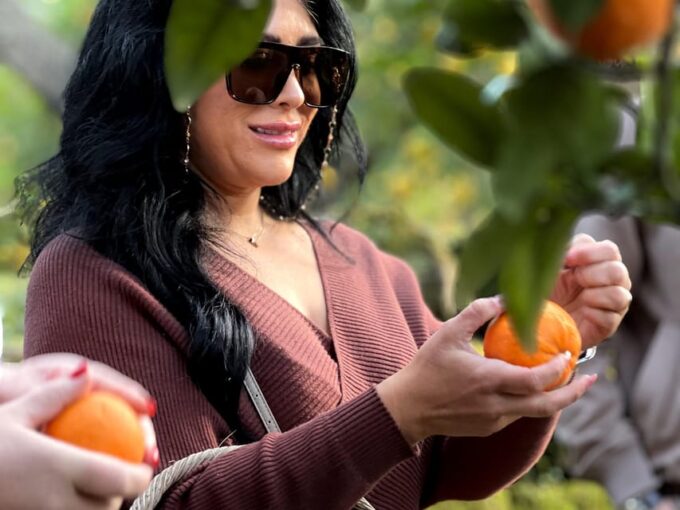 Sorrento: Lemon Picking Adventure - Exceptional Customer Experiences
