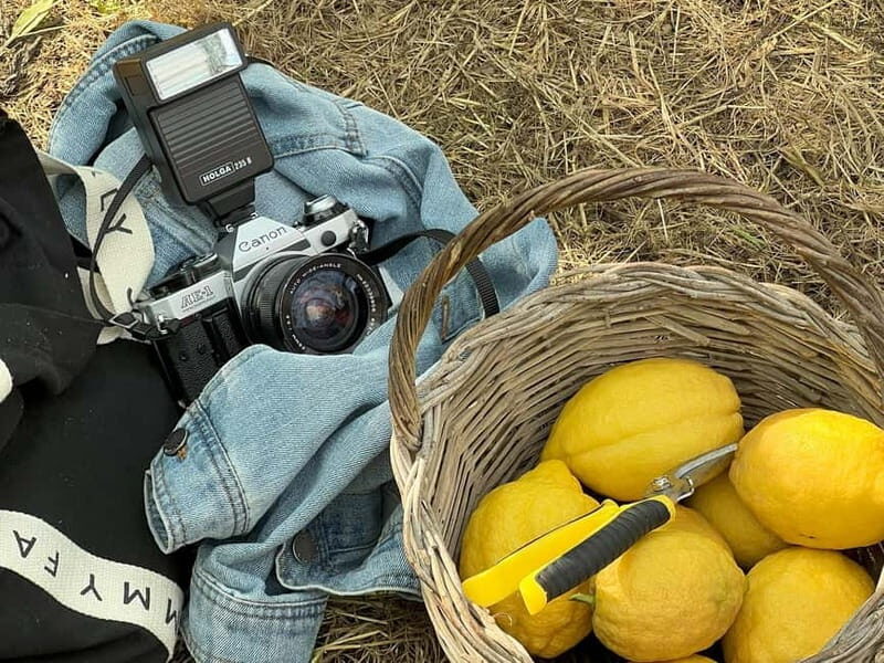 Sorrento: Lemon Picking & Tasting Tour - Why the Experience Works